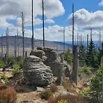 Modernes Harz Ueber Den Baumspitzen *