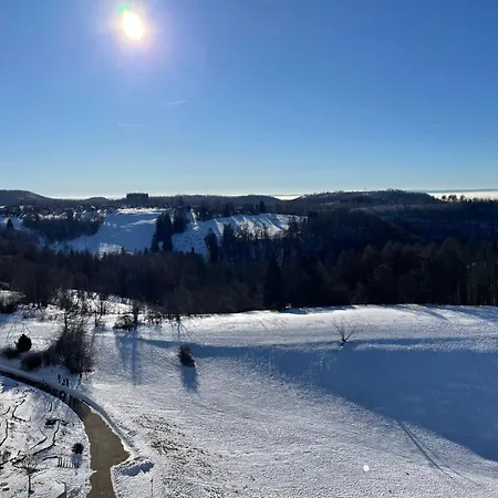 Modernes Harz Ueber Den Baumspitzen Lägenhet Braunlage