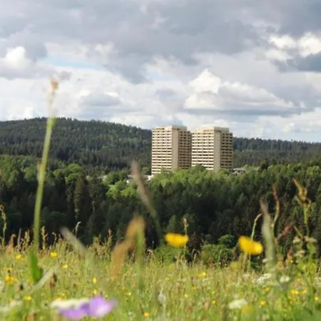 Apartment Modernes Harz Ueber Den Baumspitzen Braunlage
