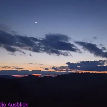 아파트 Modernes Harz Ueber Den Baumspitzen 브라운라제