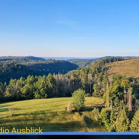 Modernes Harz Ueber Den Baumspitzen *