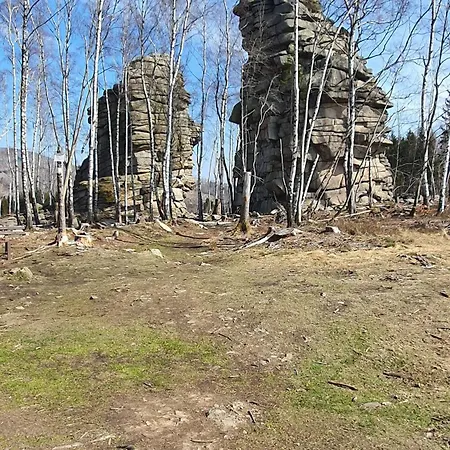 Lejlighed Modernes Harz Ueber Den Baumspitzen