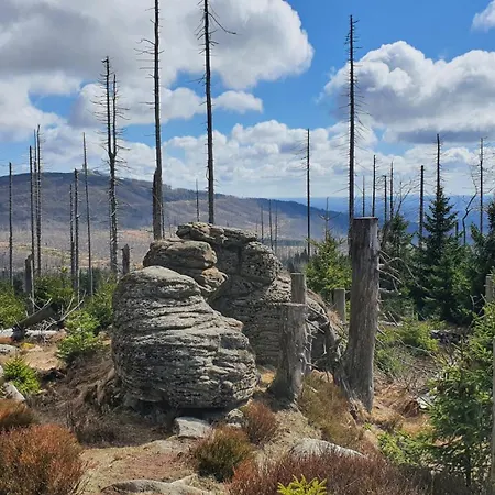 Modernes Harz Ueber Den Baumspitzen *