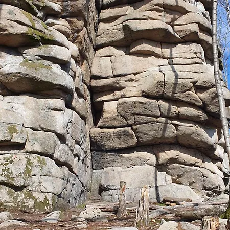 Modernes Harz Ueber Den Baumspitzen Lejlighed Braunlage