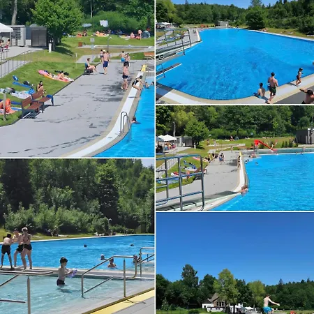 Modernes Harz Ueber Den Baumspitzen