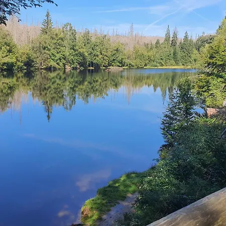 Modernes Harz Ueber Den Baumspitzen * Braunlage