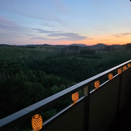 Modernes Harz Ueber Den Baumspitzen