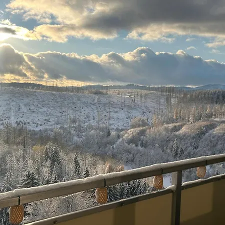 Modernes Harz Ueber Den Baumspitzen Lägenhet