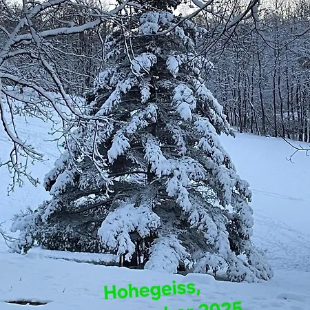 דירה Modernes Harz Ueber Den Baumspitzen *