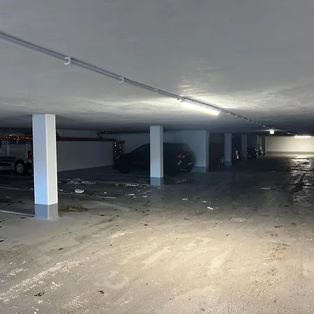 Modernes Harz Ueber Den Baumspitzen * Браунлаге