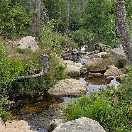 아파트 Modernes Harz Ueber Den Baumspitzen 브라운라제