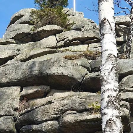 Апартаменты Modernes Harz Ueber Den Baumspitzen Браунлаге