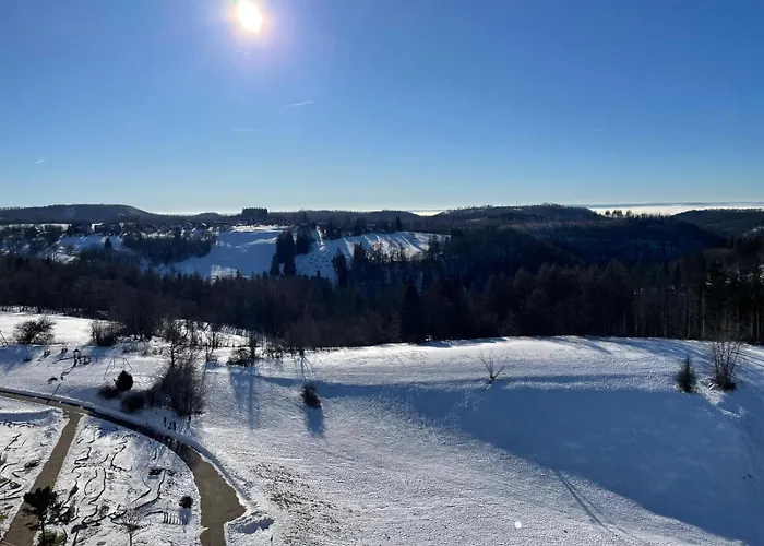 Modernes Harz Ueber Den Baumspitzen アパート ブラウンラーゲ