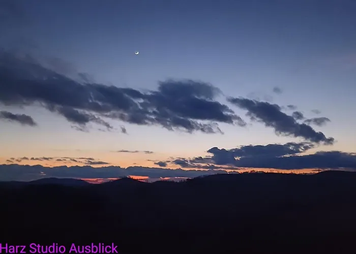 公寓 Modernes Harz Ueber Den Baumspitzen 布劳恩拉格