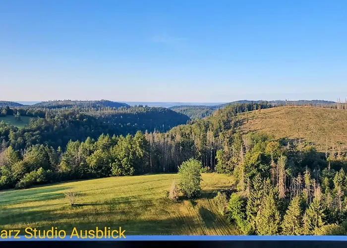 Modernes Harz Ueber Den Baumspitzen *