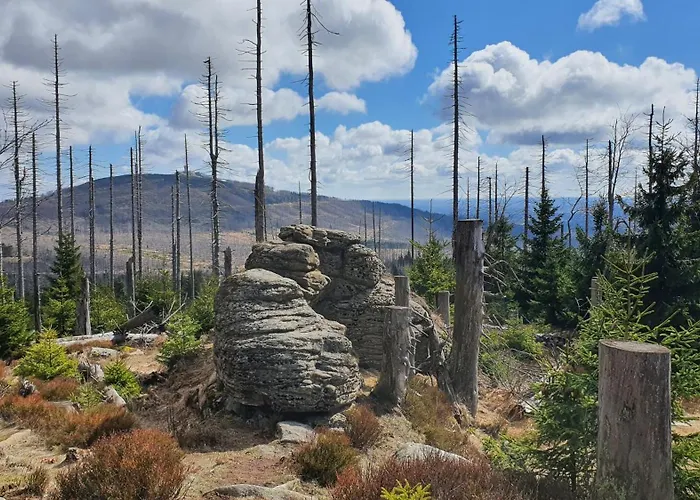 Modernes Harz Ueber Den Baumspitzen *