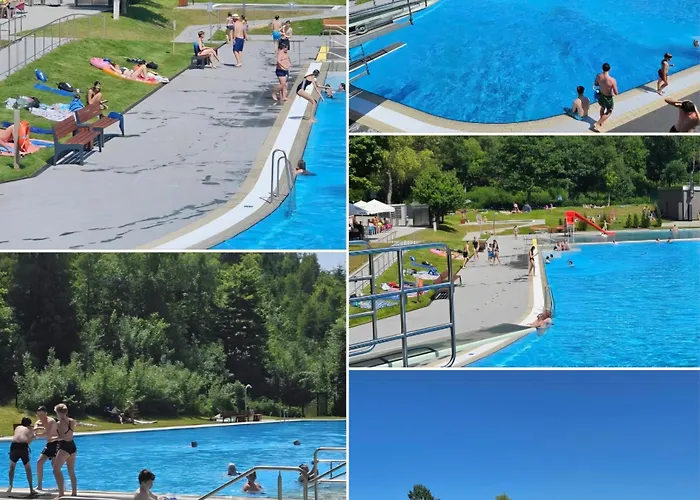 Modernes Harz Ueber Den Baumspitzen