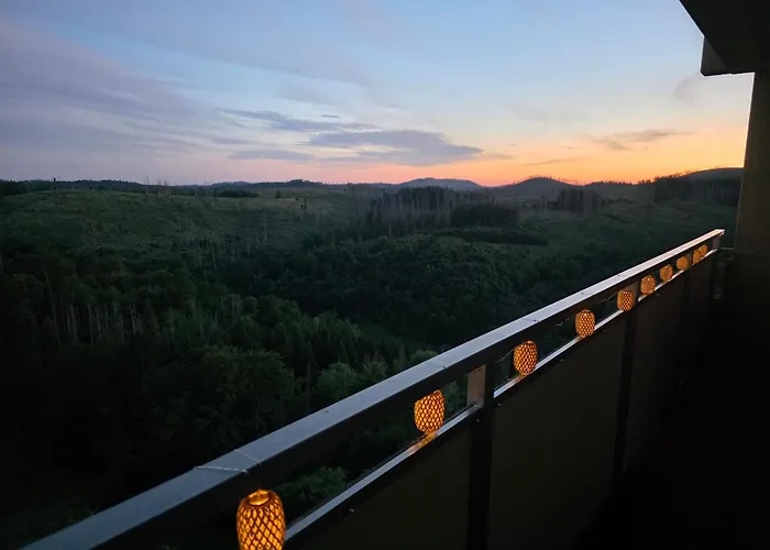 Modernes Harz Ueber Den Baumspitzen