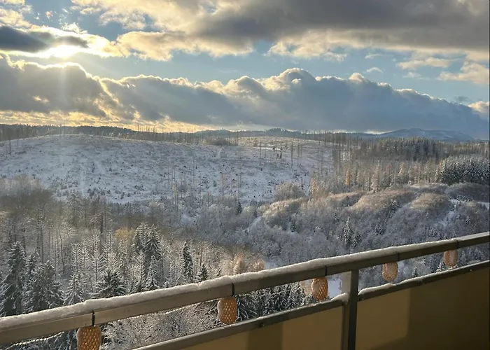 Modernes Harz Ueber Den Baumspitzen アパート