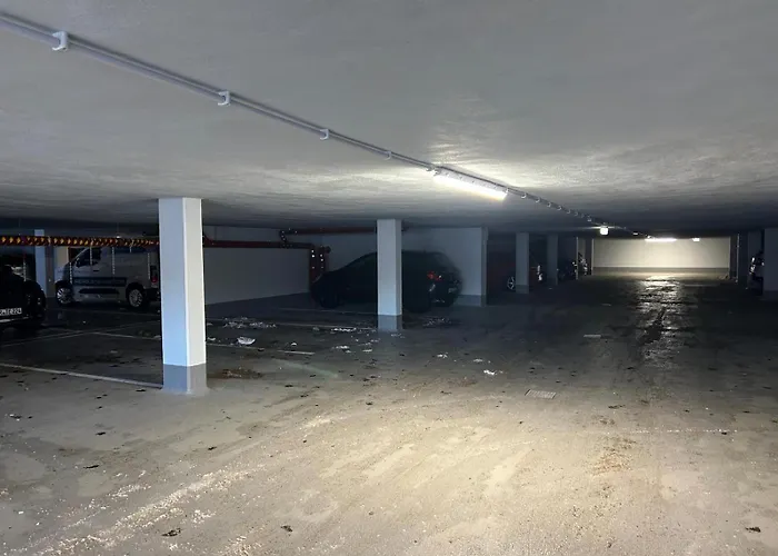 Modernes Harz Ueber Den Baumspitzen * 布劳恩拉格