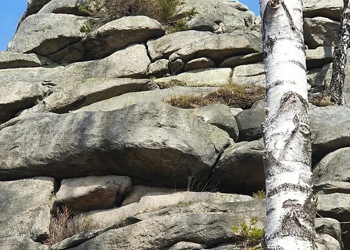 公寓 Modernes Harz Ueber Den Baumspitzen 布劳恩拉格